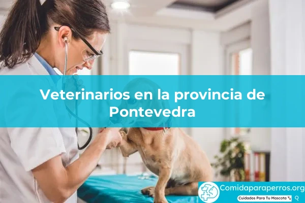 Veterinarios en provincia Pontevedra