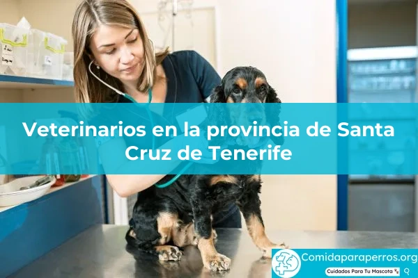 Veterinarios en provincia Santa Cruz de Tenerife