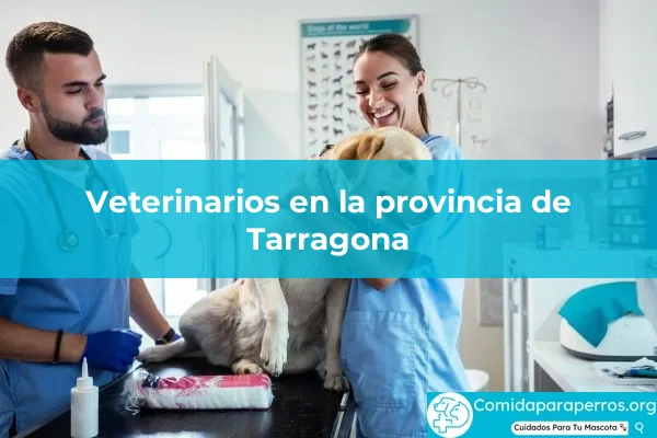 Veterinarios en provincia Tarragona