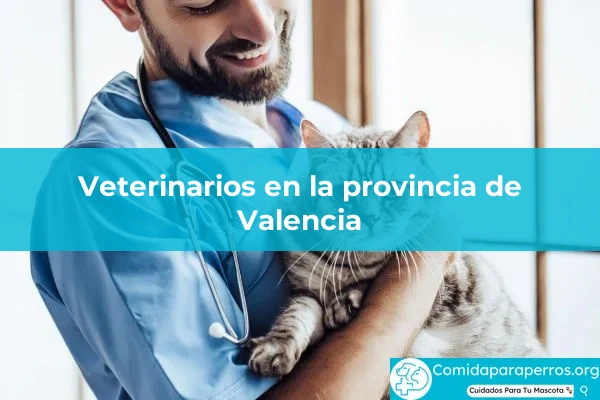 Veterinarios en provincia Valencia