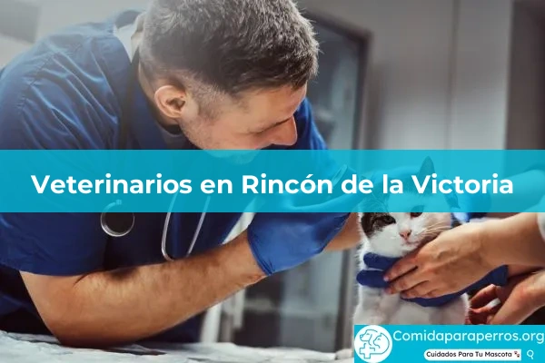 Veterinarios en Rincón de la Victoria