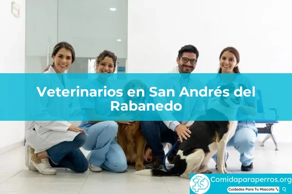 Veterinarios en San Andrés del Rabanedo