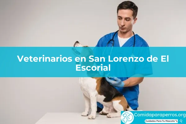 Veterinarios en San Lorenzo de El Escorial