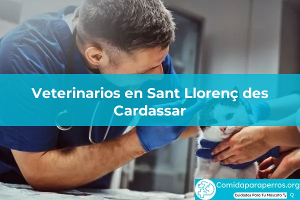 Veterinarios en Sant Llorenç des Cardassar