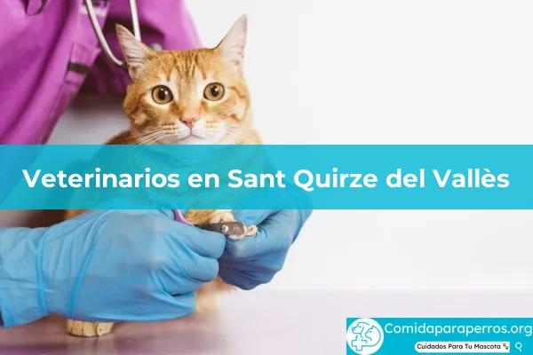 Veterinarios en Sant Quirze del Vallès