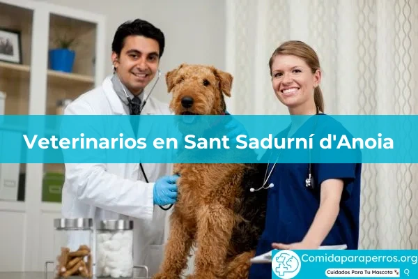 Veterinarios en Sant Sadurní d'Anoia