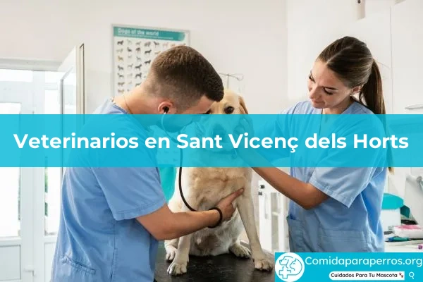 Veterinarios en Sant Vicenç dels Horts