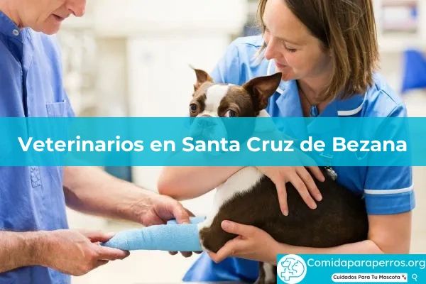 Veterinarios en Santa Cruz de Bezana