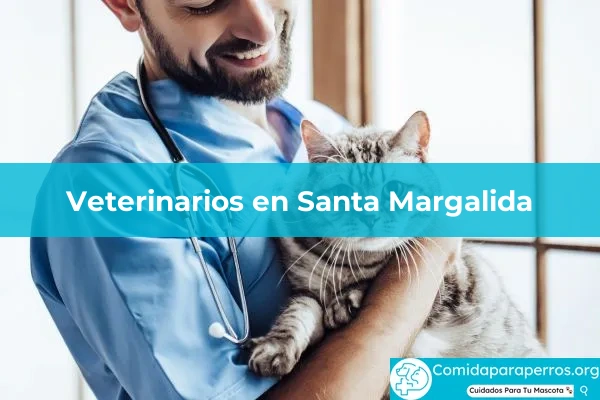 Veterinarios en Santa Margalida