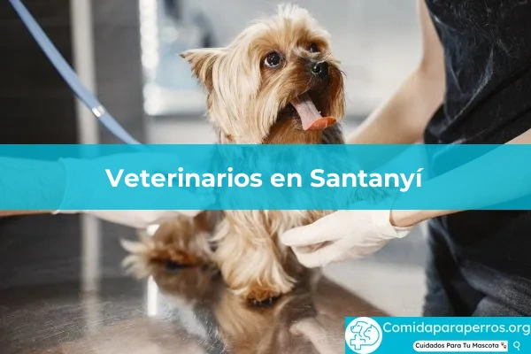 Veterinarios en Santanyí