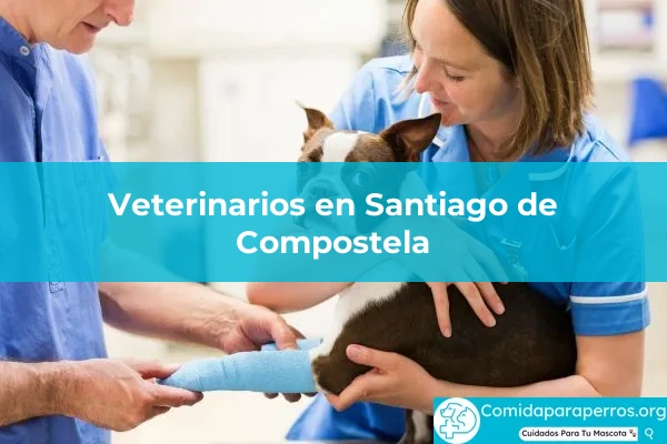 Veterinarios en Santiago de Compostela