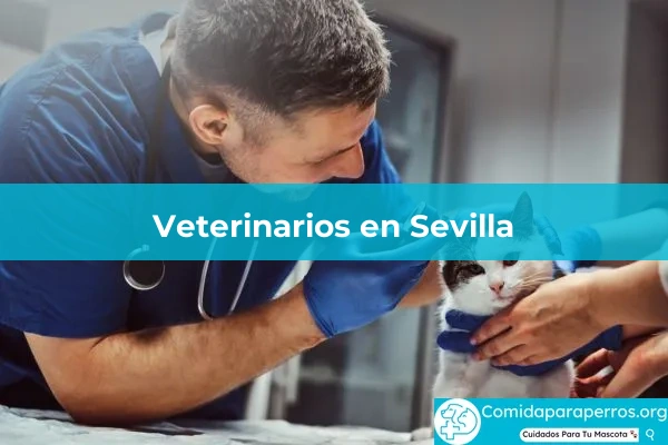 Veterinarios en Sevilla