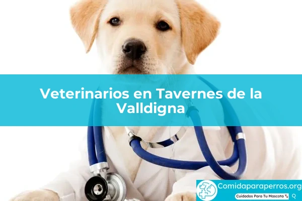 Veterinarios en Tavernes de la Valldigna