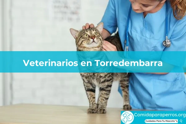 Veterinarios en Torredembarra