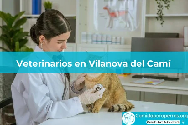 Veterinarios en Vilanova del Camí