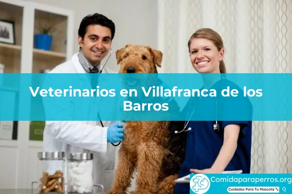 Veterinarios en Villafranca de los Barros