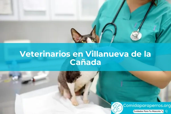 Veterinarios en Villanueva de la Cañada