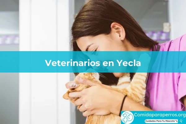 Veterinarios en Yecla